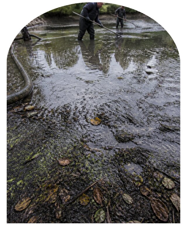 Очистка пруда в Конаково от ила мусора и водорослей с вывозом